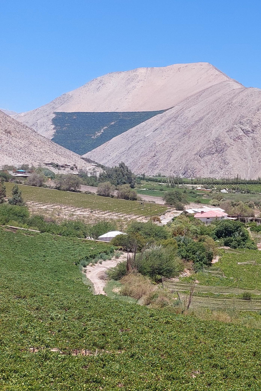 The Magnificient Elqui Valley Grand Tour - Diaguitas: pottery, crafts, and local identity