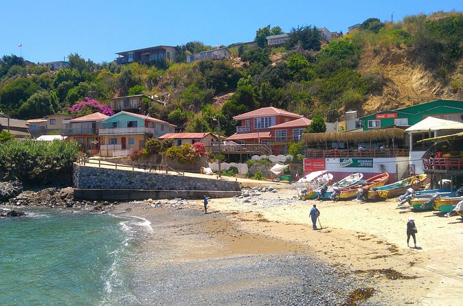 The Poets’ Coastline & the Picturesque Fishing Village of Quintay - Vincent and the benefits of a private tour