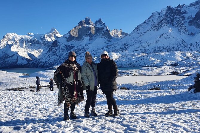 Torres Del Paine and Milodon Cave Full Day Tour - Gray Lake: ice, water, and exposed weather