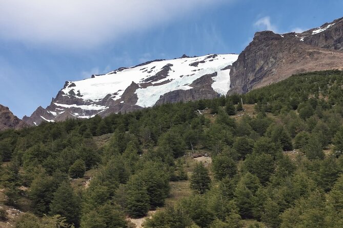 Torres del Paine Base Full Day Trekking Tour - Wildlife and scenery along the route