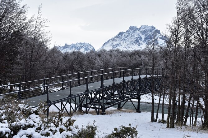 Torres del Paine Full Day Private Couples, families and/or friends. - Grey Beach and the glacier viewpoint