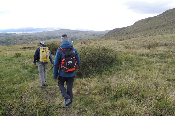 Torres del Paine Highlights Hiking Tour from Puerto Natales - An early start from Puerto Natales