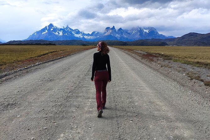 Torres del Paine Highlights Hiking Tour from Puerto Natales - Wildlife and ancient paintings near Nordenskjöld Lake
