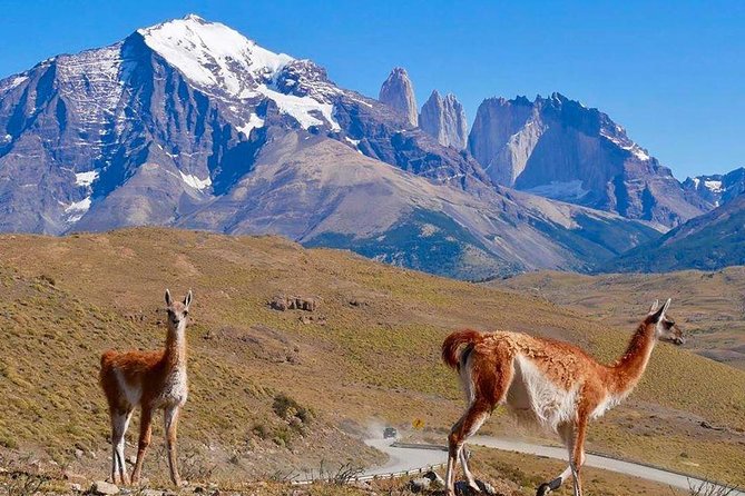 Torres del Paine Tour from Punta Arenas - Milodon Cave Park may be an extra stop