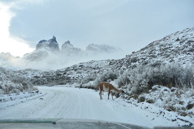 Torres del Paine Winter Private 4 nights and 3 days Tour. - Day One: Waterfalls, Cuernos, and Lake Pehoe