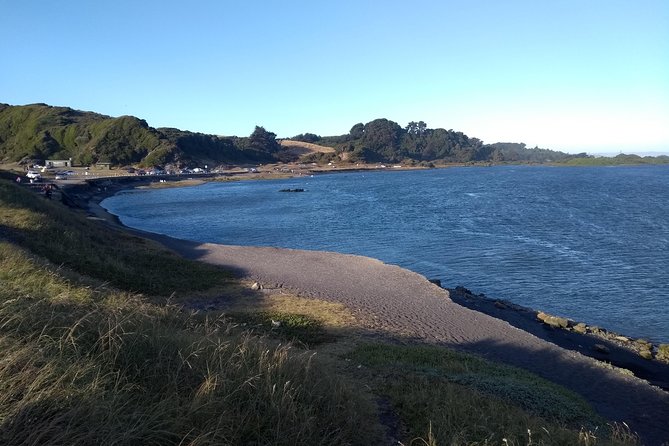Tour around Biobío River Estuary & Pedro del Río Zañartu Museum - Key points at a glance