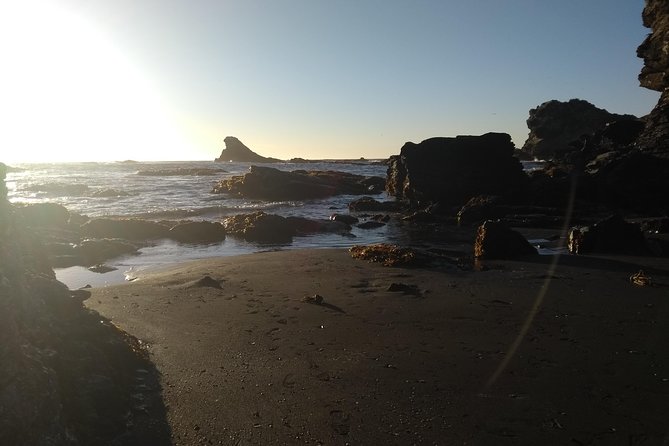 Tour around Biobío River Estuary & Pedro del Río Zañartu Museum - Price, timing, and the weather question