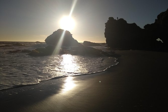 Tour around Biobío River Estuary & Pedro del Río Zañartu Museum - Should you book the Biobío estuary tour?