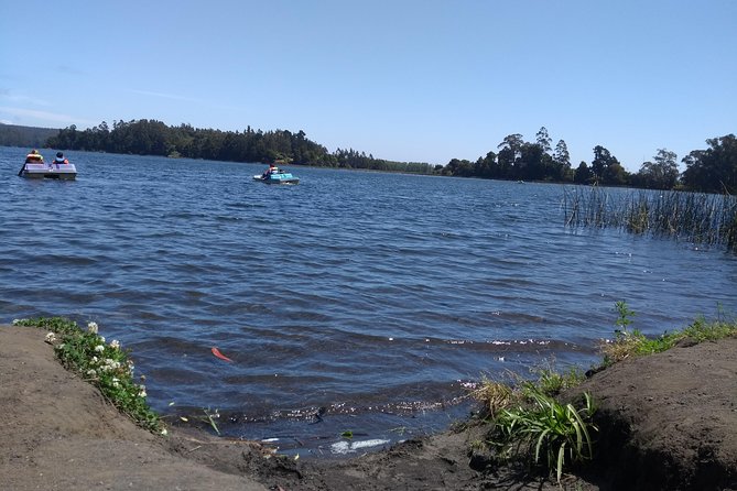Tour around the Greater Concepcion - Pedro del Río Zañartu Park and three distinct sights