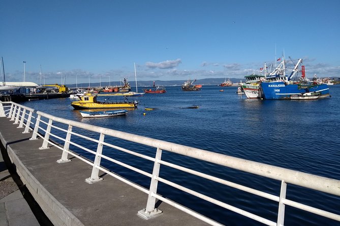 Tour around the Port of Talcahuano - Key points at a glance