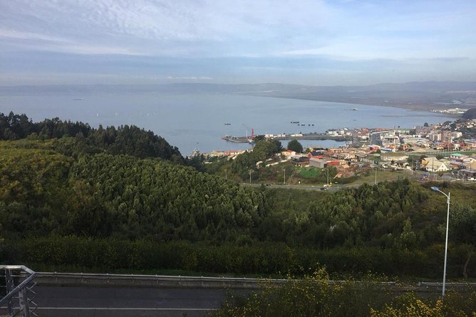 Tour around the Port of Talcahuano - El Morro Stadium and the famous scissor kick