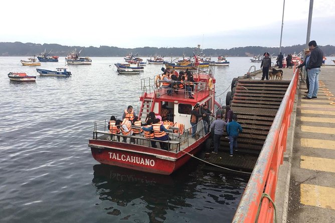 Tour around the Port of Talcahuano - The fishing market at Terminal Pesquero Artesanal
