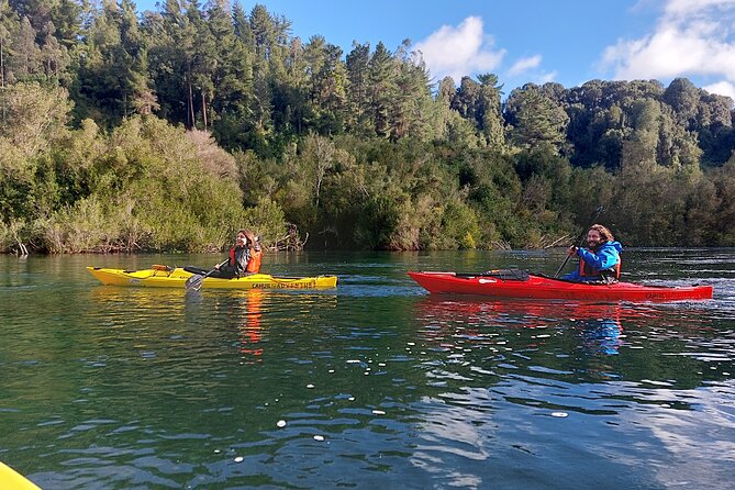 Tour Guiado en Kayak por Rio Maullin / Medío dia en Pto. Varas - Starting beside Lago Llanquihue in Llanquihue