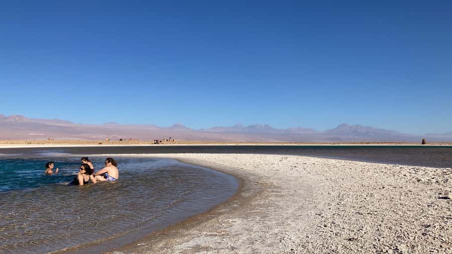 Tour Laguna Cejar - Key points to know before you go