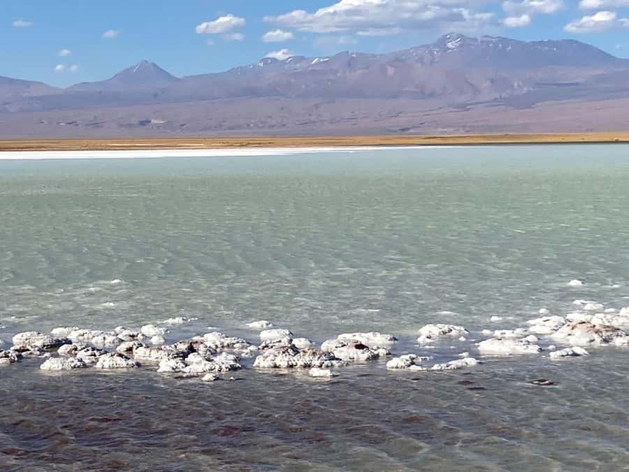 Tour Laguna Cejar - The Eyes of the Salt Flat and the value of a guided stop