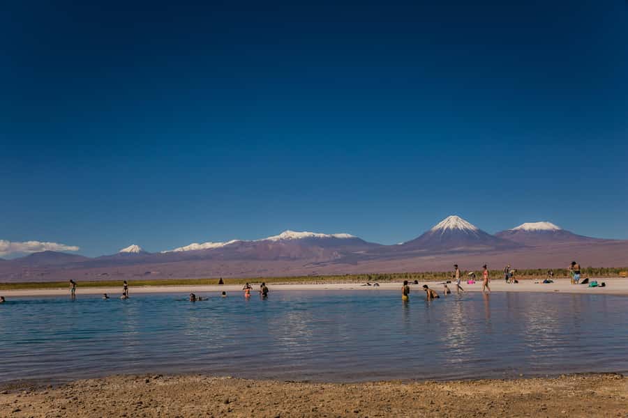 Tour Laguna Cejar - Comfort, access, and who will enjoy it most