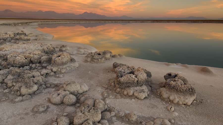 Tour Laguna Cejar - Guide quality and the practical experience