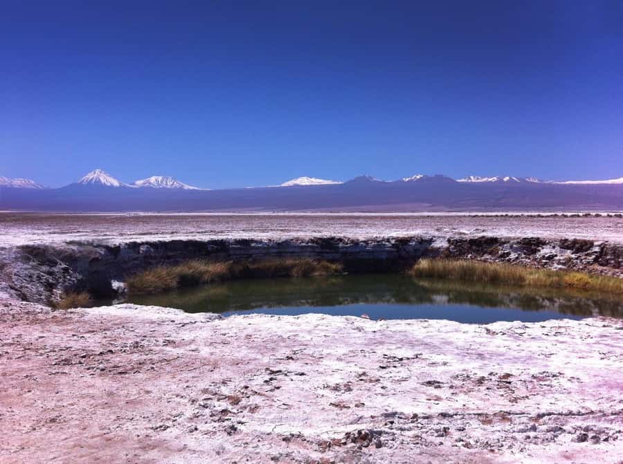 Tour Laguna Cejar - Floating at Laguna Cejar in salt-rich water