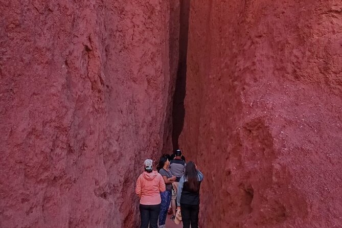 Tour of the Rainbow Valley and Petroglyphs of Yerbas Buenas - Is $45 a good value?
