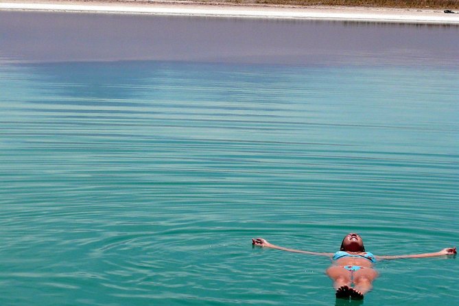 Tour to Laguna Cejar and Tibenquinche - What the afternoon at San Pedro’s lagoons is really like