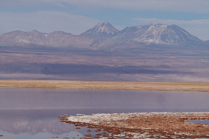 Tour to Laguna Cejar, Ojos del Salar and Laguna Tebinquiche - What the afternoon is really about