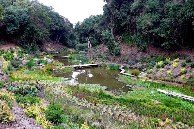 Tour to Parque Tricao + Aviario and Pomaire full day from Santiago - Entering Parque Tricao’s restored coastal ravines