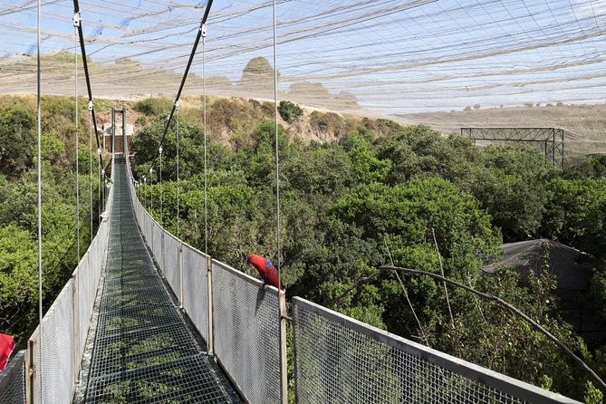 Tour to Parque Tricao + Aviario and Pomaire full day from Santiago - The South American aviary and its free-flying birds