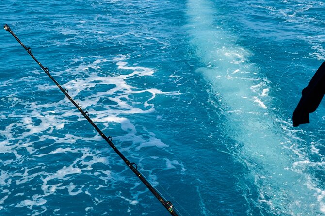Tour to the Motus: Boat trip and snorkeling in Rapa Nui - Group size, privacy, and the English question
