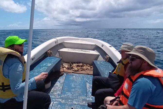 Tour to the Motus: Boat trip and snorkeling in Rapa Nui - Is $150 a fair price?