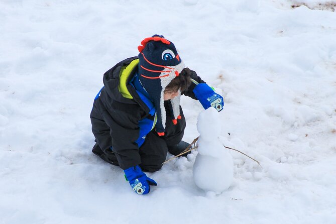 Tour to Valle Nevado - What this Valle Nevado day trip really offers