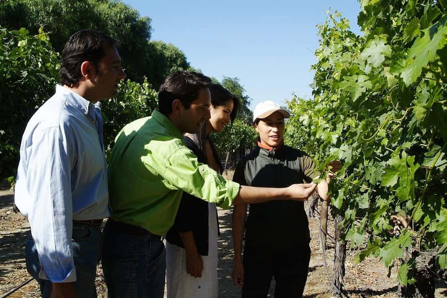 Tour VIÑA CONCHA Y TORO + CASA MARQUES - Chile, from Santiago. - Meeting a winemaker