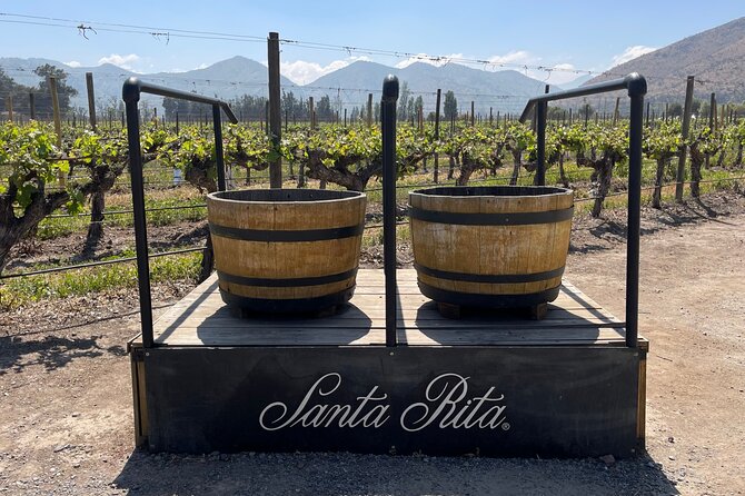 Tour Viña Santa Rita: History, Wine and Picnic Outdoors - Leaving Santiago for the Maipo Valley