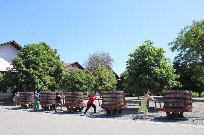 Tour Viña Santa Rita: History, Wine and Picnic Outdoors - The Andean Museum deserves more than a quick look