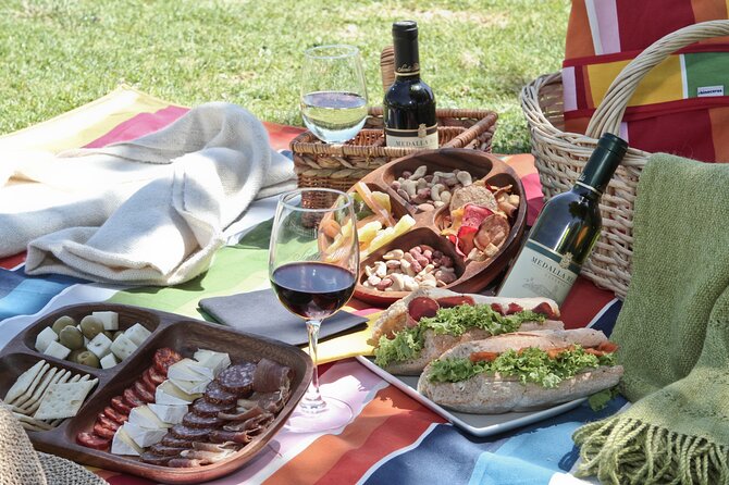 Tour Viña Santa Rita: History, Wine and Picnic Outdoors - How the $123 price measures up