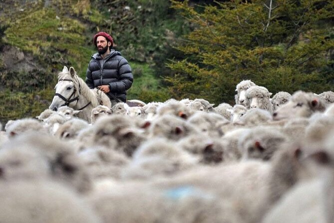 Traditional Patagonian Ranch (estancia) Day Tour Puerto Natales - A guided tour and final viewpoint near Puerto Bories