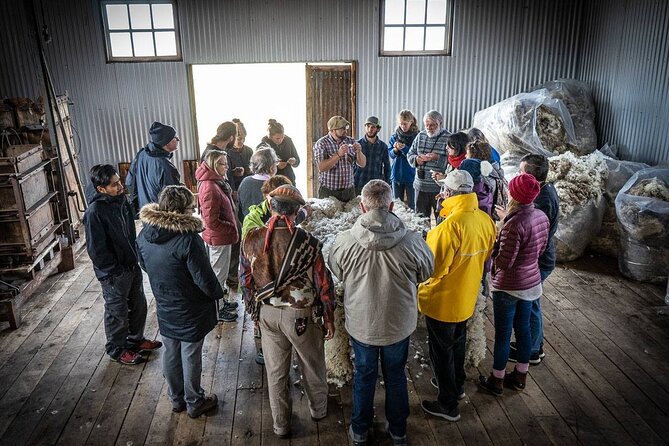 Traditional Patagonian Ranch (estancia) Day Tour Puerto Natales - What the $320 price includes