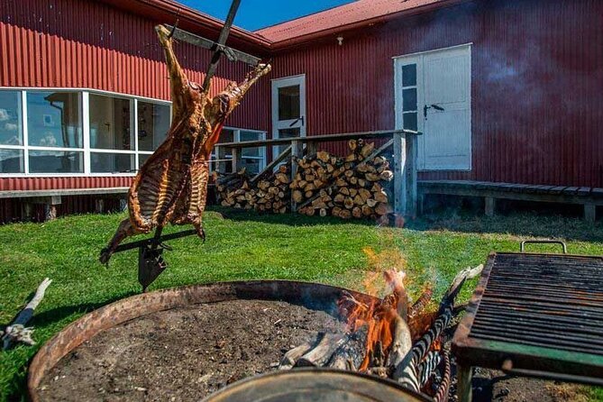 Traditional Patagonian Ranch (estancia) Day Tour Puerto Natales - Choosing horseback riding, hiking, or a 4x4 route