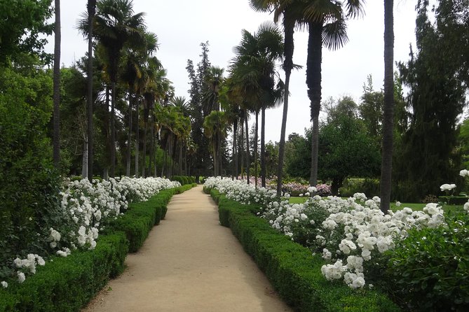 Traditional Undurraga tour - Why Undurraga Makes a Good Santiago Side Trip