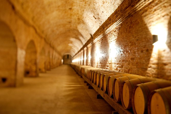 Traditional Wine Tour in Viña Cousiño Macul Official English - Key points to know before you go