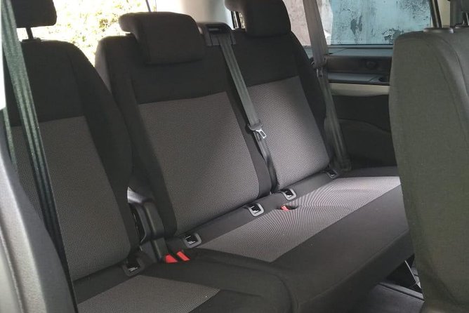 Transfer From Portillo Ski center to Santiago Airport or Hotel - Comfort, group size, and the private service