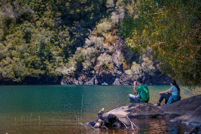 Trekking Alerce Andino National Park in Puerto Varas - Why Alerce Andino makes a good day trip