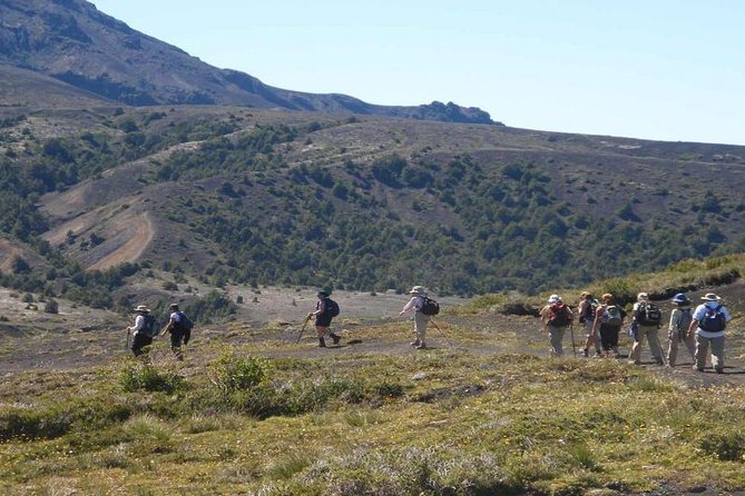 Trekking Alerce Andino National Park in Puerto Varas - Practical planning for a comfortable day