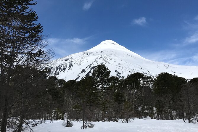 Trekking Andean Lagoons + Mapuche Cuisine - Key points at a glance