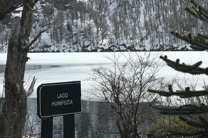 Trekking Andean Lagoons + Mapuche Cuisine - Quillelhue Lagoon and the north face of Lanín