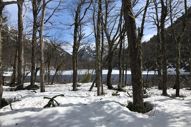 Trekking Andean Lagoons + Mapuche Cuisine - The winding route to Huinfiuca Lagoon