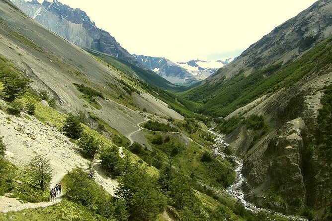 Trekking Base Torres del Paine - The First 90 Minutes Through Magellanic Forest