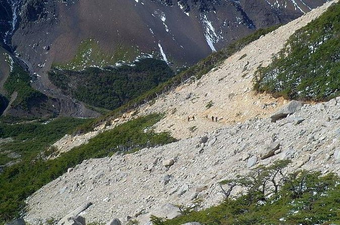 Trekking Base Torres del Paine - Refugio Chileno to the Scree Slope