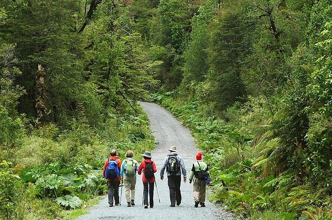 Trekking Base Torres del Paine Imperdible - Reaching the Torres Base lake and glacier