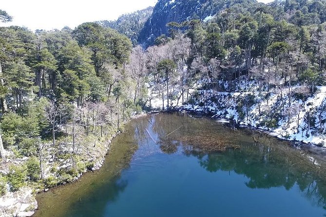 Trekking Huerquehue - Key Points Before You Book