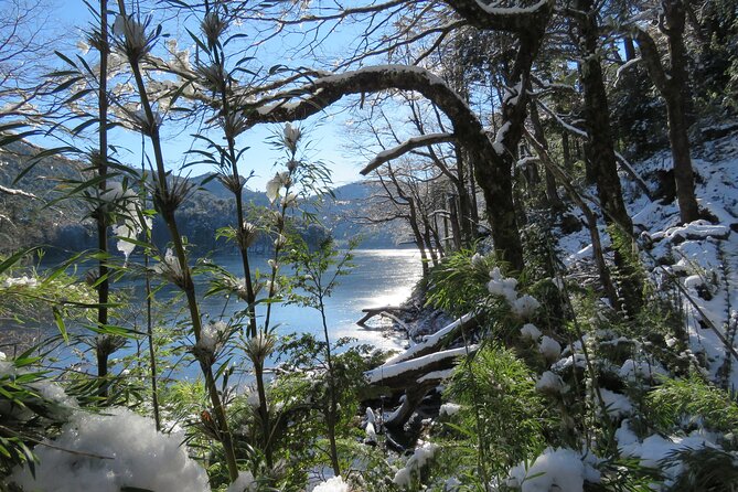 Trekking Huerquehue - Wildlife and Native Plants Along the Way